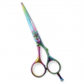 Professional Hair Cutting Scissors